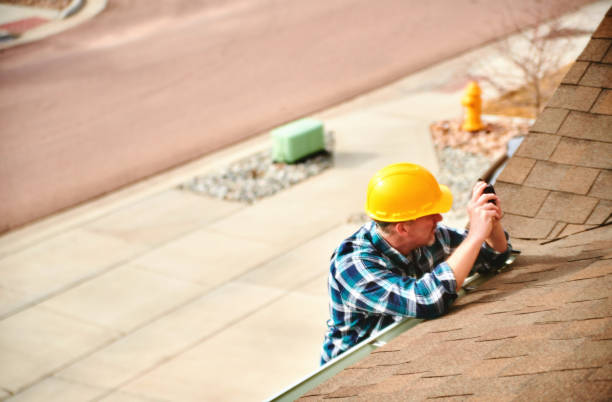 Best Roof Gutter Cleaning  in Colona, IL