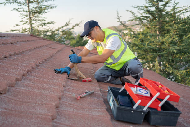 Best Storm Damage Roof Repair  in Colona, IL