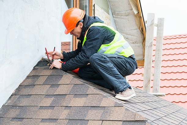 Best Flat Roof Repair Services  in Colona, IL